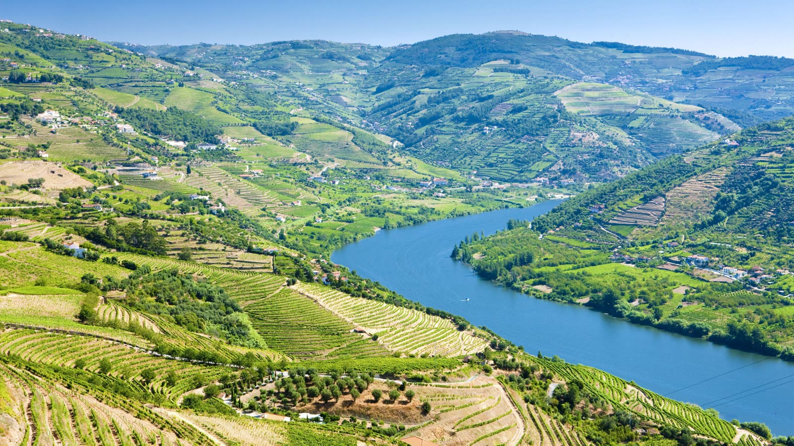 Douro Valley vineyard terraces, Portugal — river cruise signature trip